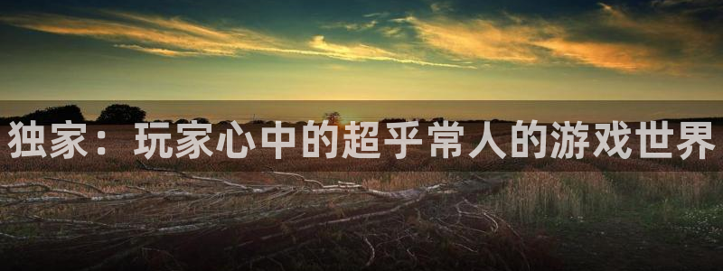 长征娱乐注册：独家：玩家心中的超乎常人的游戏世界
