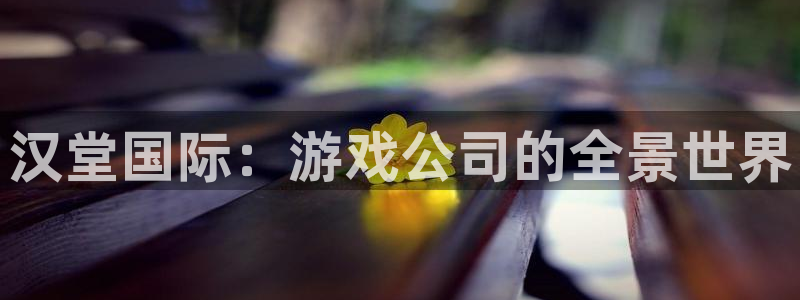 长征娱乐主管：汉堂国际：游戏公司的全景世界