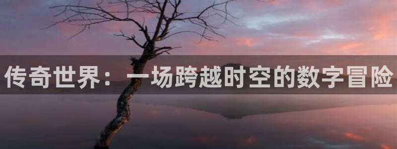长征娱乐注册服务条款：传奇世界：一场跨越时空的数字冒险