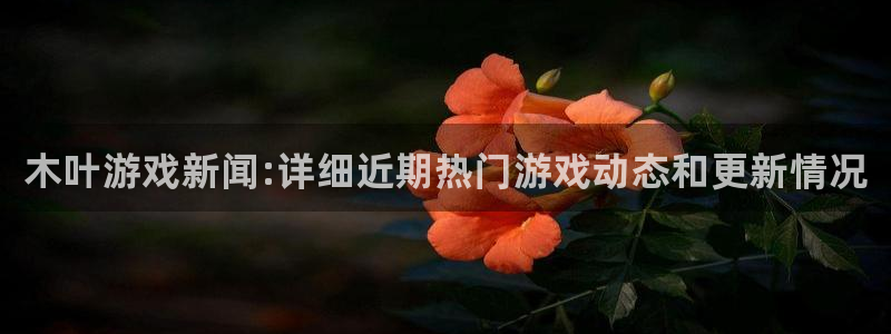 长征娱乐官网：木叶游戏新闻:详细近期热门游戏动态和更新情况