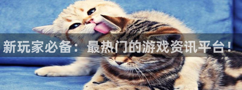 长征娱乐咨询：新玩家必备：最热门的游戏资讯平台！