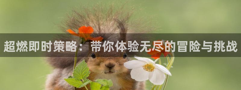 长征娱乐官网：超燃即时策略：带你体验无尽的冒险与挑战