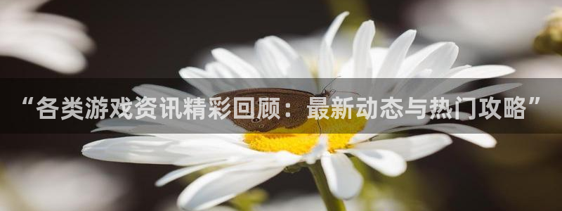 长征娱乐网页版地址：“各类游戏资讯精彩回顾：最新动态与热门攻