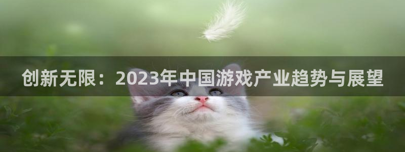 长征娱乐官方平台:创新无限:2023年中国游戏产业趋势与展望