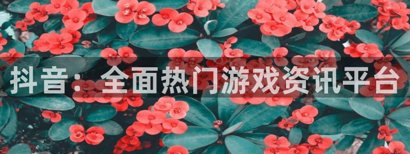 长征娱乐2登录：抖音：全面热门游戏资讯平台