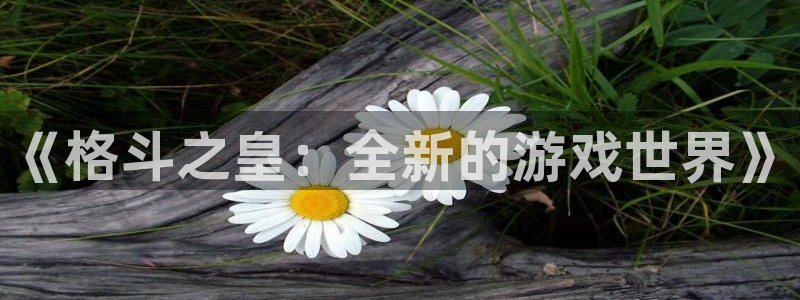长征娱乐注册测速：《格斗之皇：全新的游戏世界》