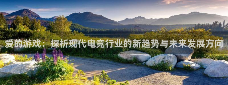 长征娱乐注册：爱的游戏：探析现代电竞行业的新趋势与未来发展方